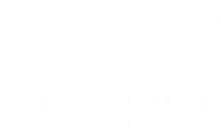 Checkpoint_3D logo